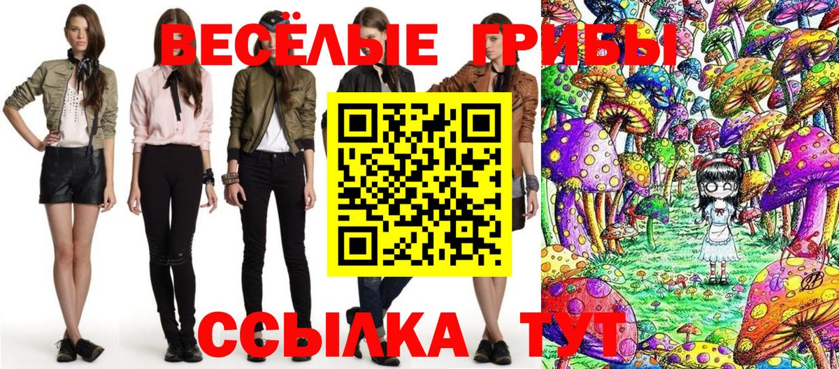Бийск  Галлюциногенные грибы Cubensis  Вход с VPN 