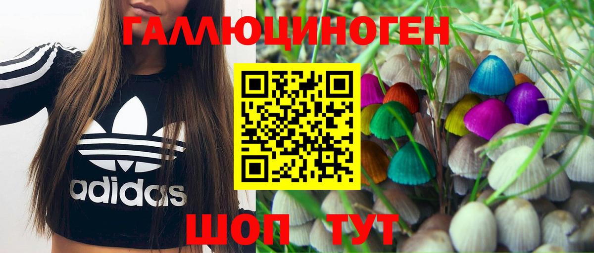 Галлюциногенные грибы мицелий Бийск